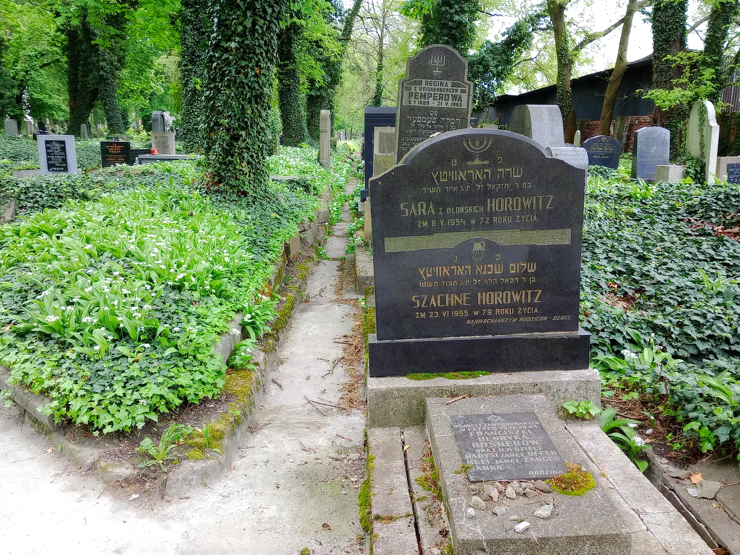 New Jewish Cemetery in Kraków