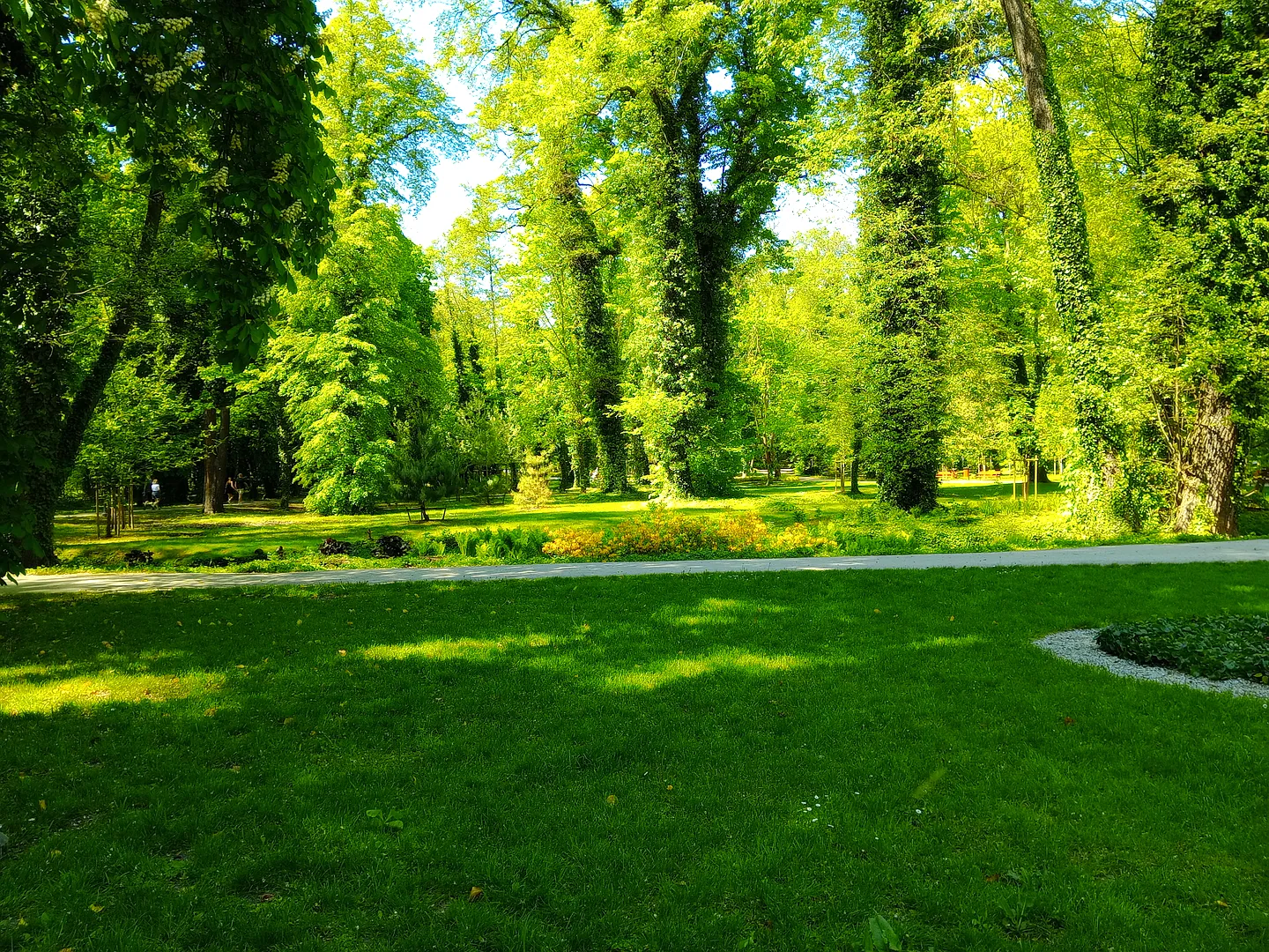 Park Miejski w Sławie