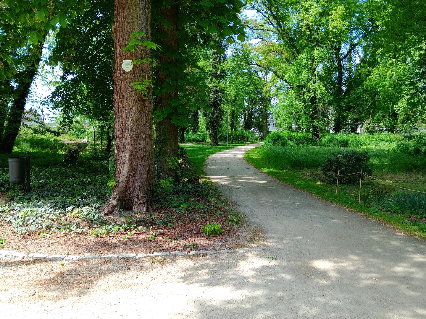 Park Książęcy w Zatoniu koło Zielonej Góry