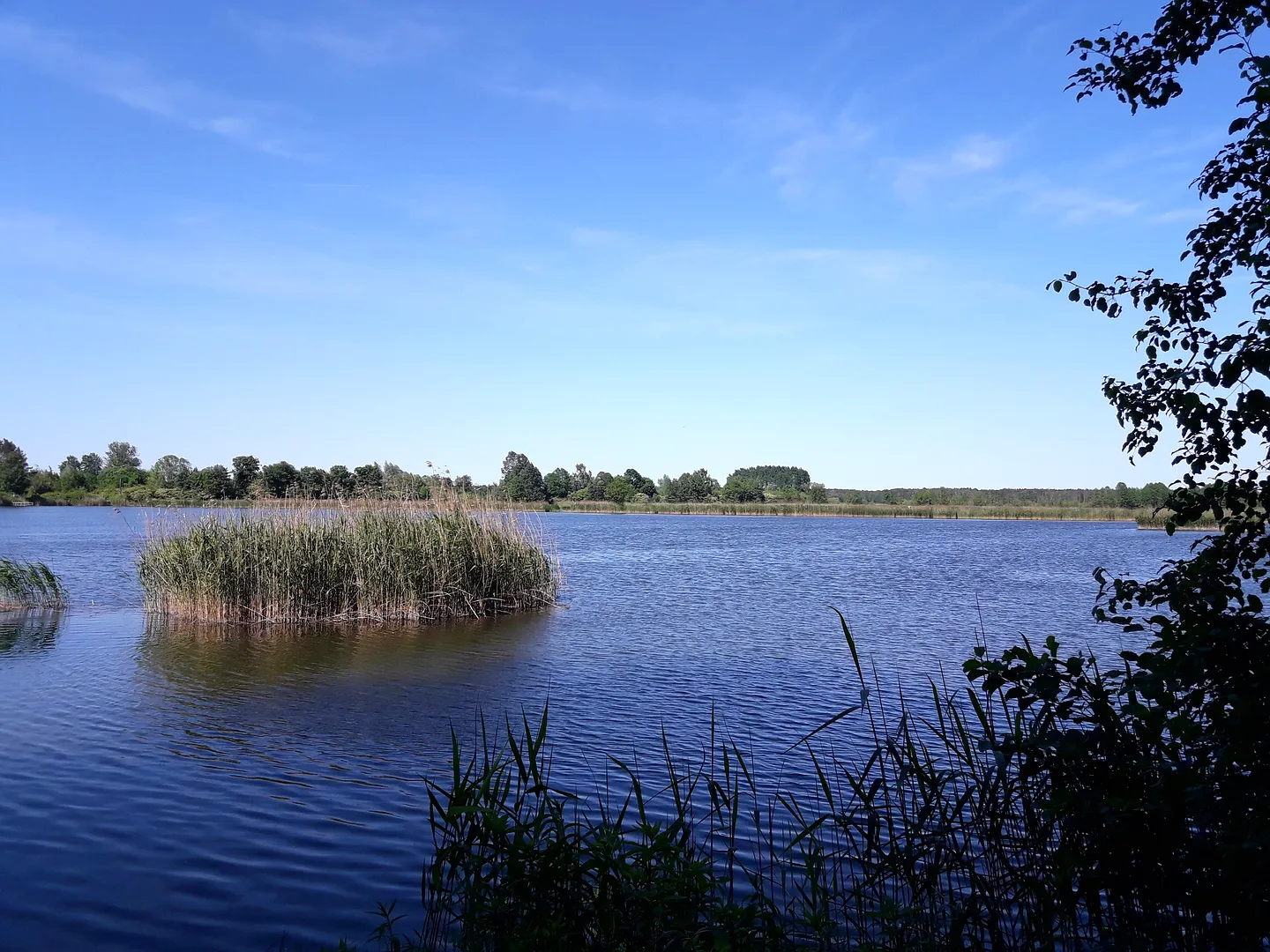 Wyrobiska kredowe Brzezie Pomorskie pod Zieloną Górą