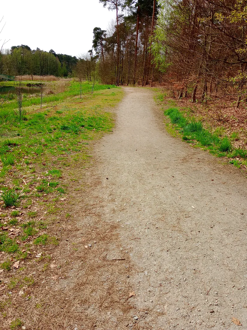 Zalew w Czerwieńsku - ścieżki piesze, rowerowe, woda i las