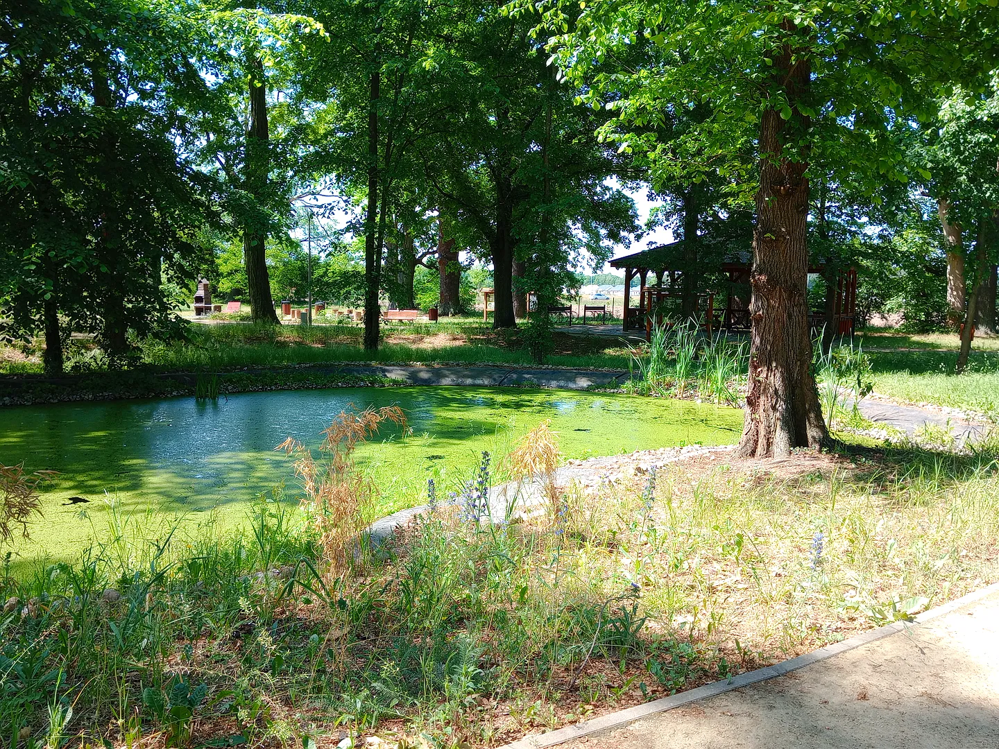 Park w Kiełpinie koło Zielonej Góry