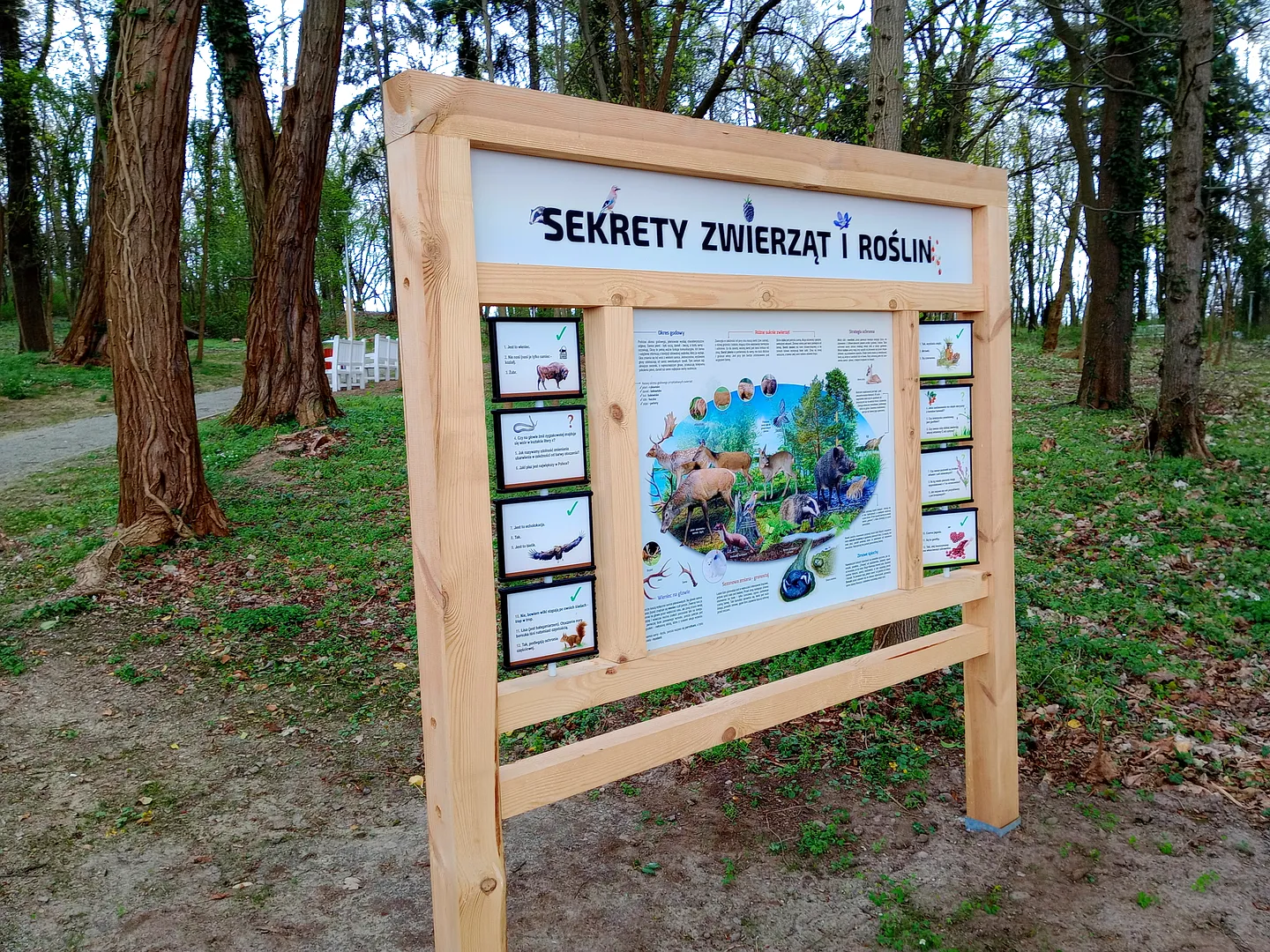 Park Rekreacyjny w Świdnicy pod Zieloną Górą