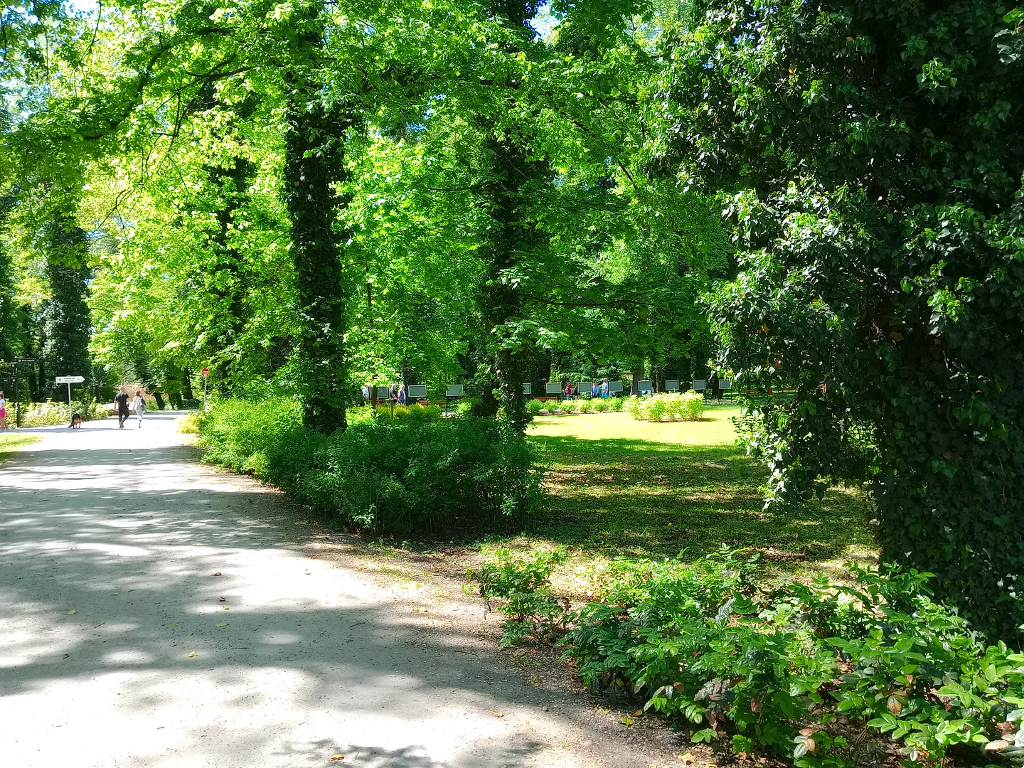 Park Miejski w Sławie