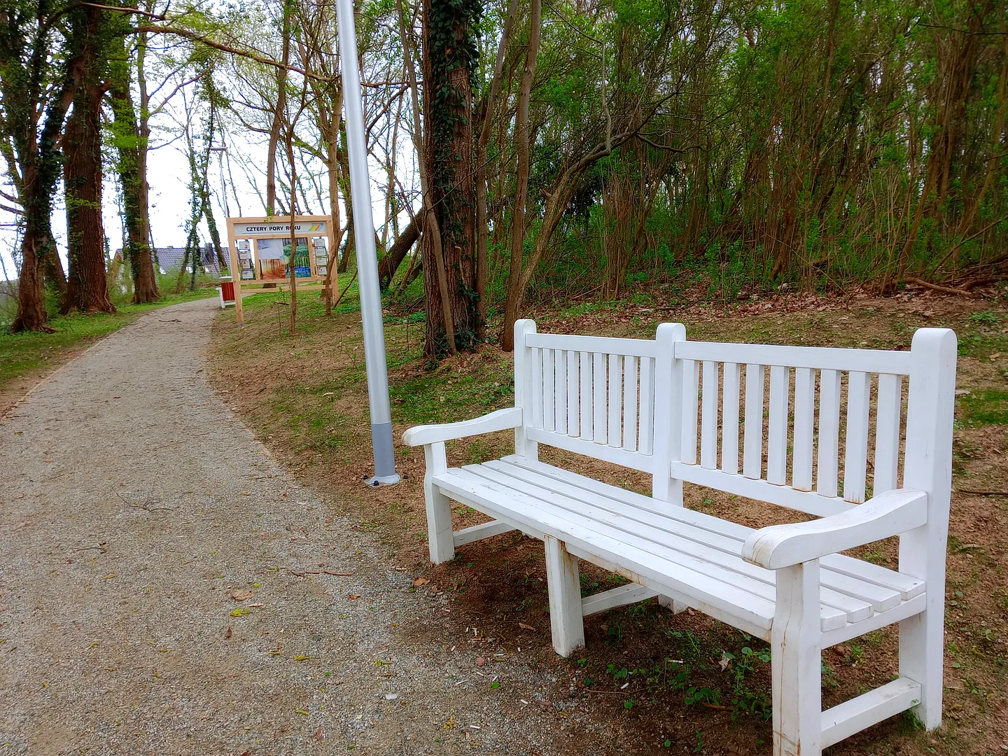 Park Rekreacyjny w Świdnicy pod Zieloną Górą