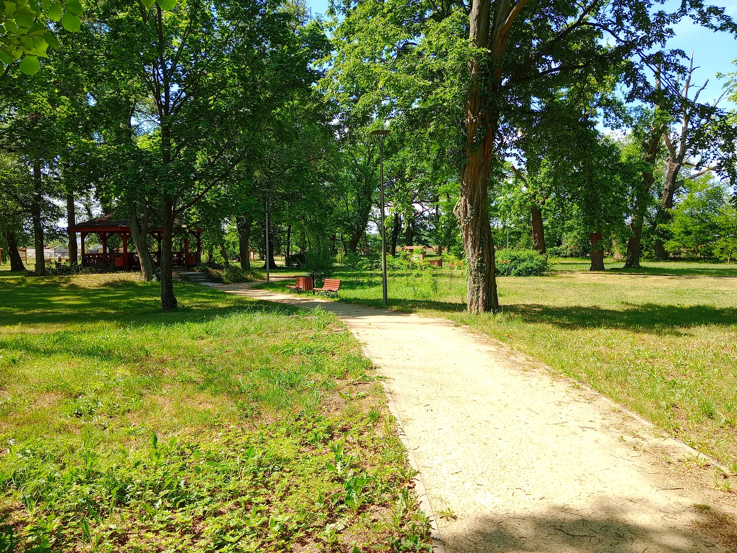 Park w Kiełpinie koło Zielonej Góry