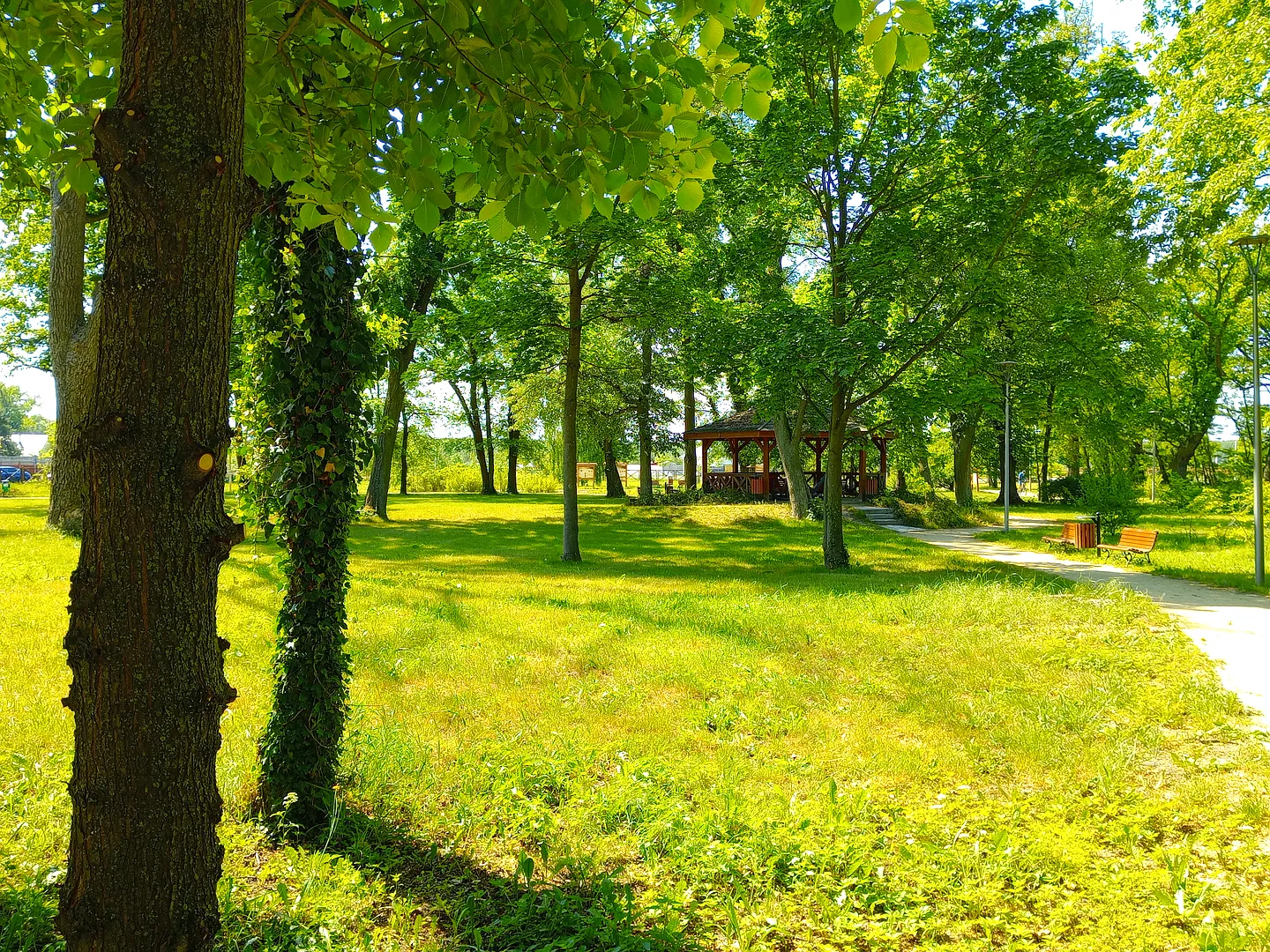 Park w Kiełpinie koło Zielonej Góry