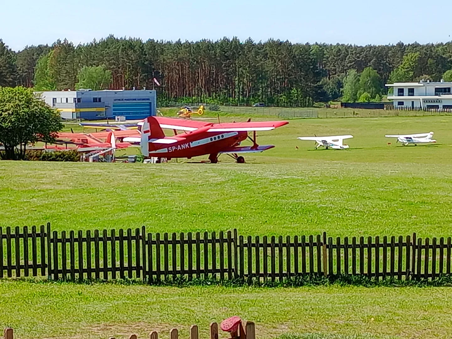 Antonov na płycie lotniska