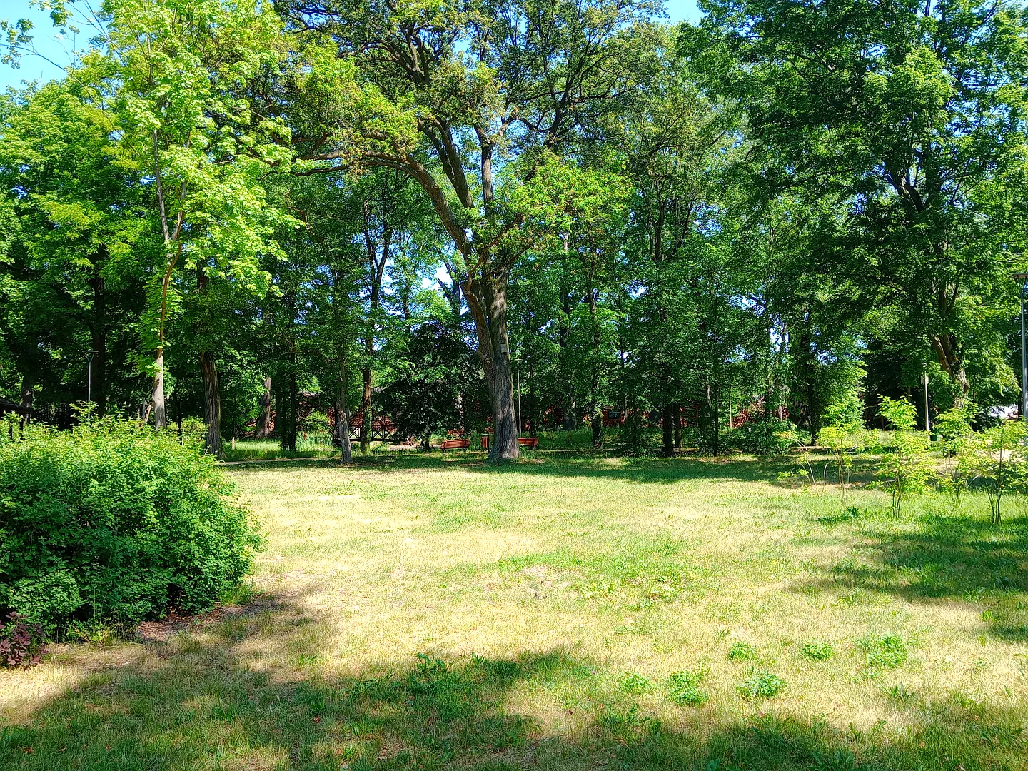 Park w Kiełpinie koło Zielonej Góry