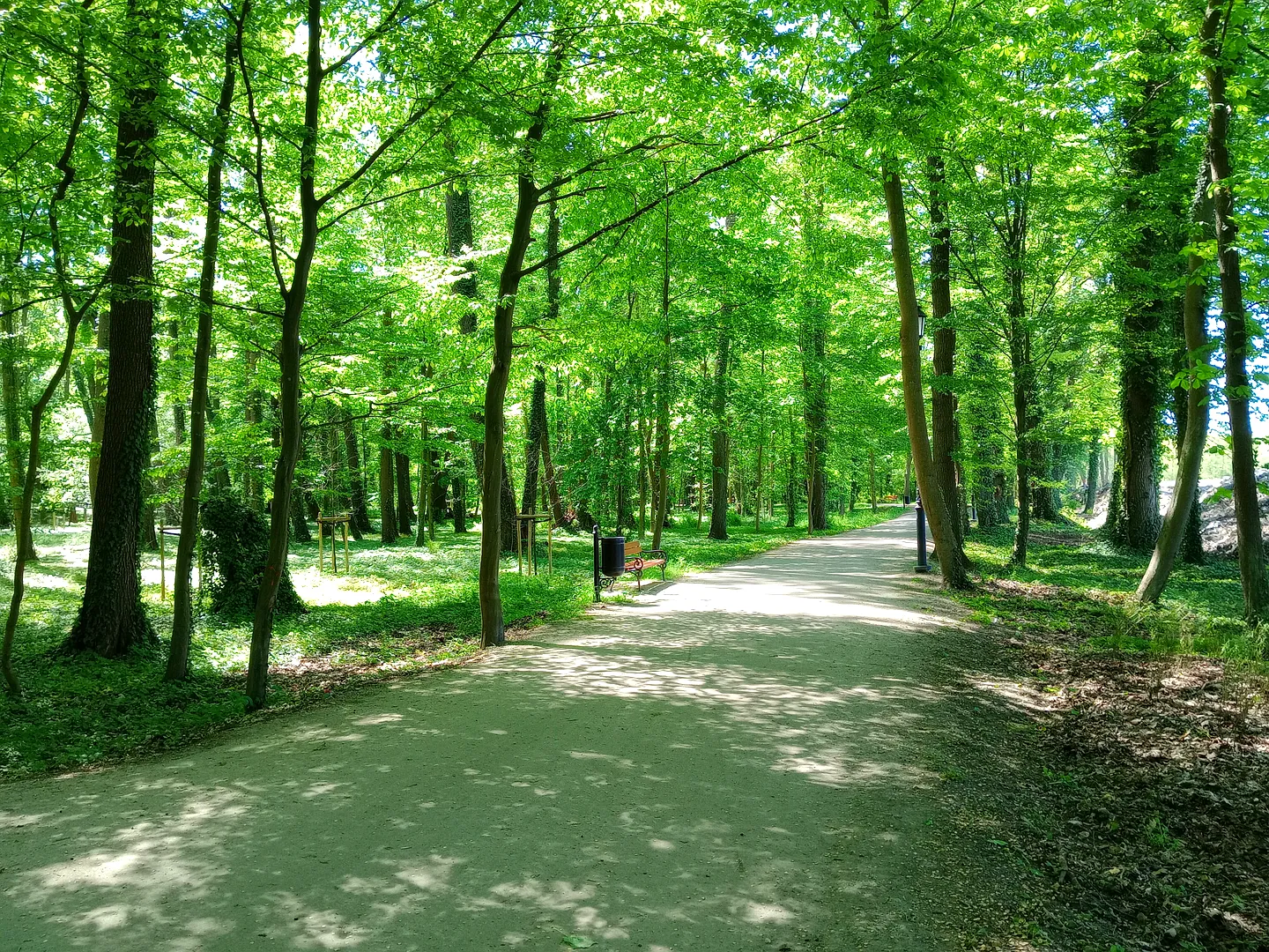 Park Miejski w Sławie