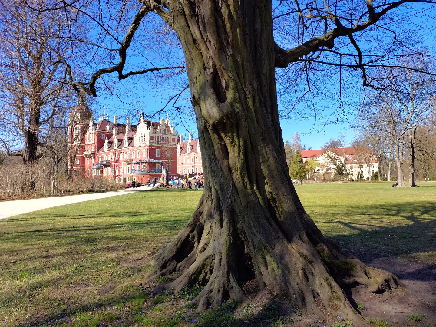 Widok na Zamek w Bad Muskau z Parku Pałacowego