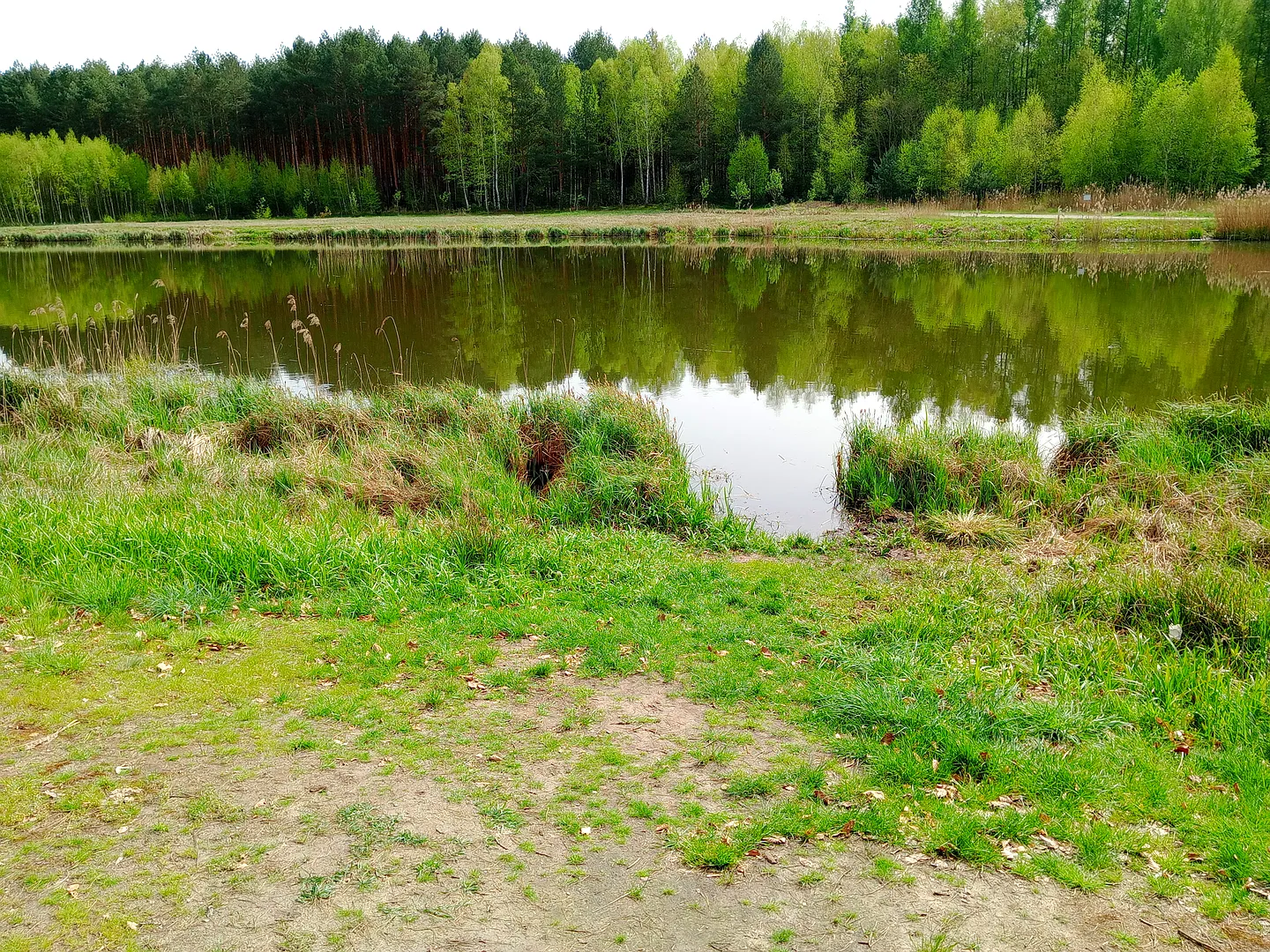 Zalew w Czerwieńsku - ścieżki piesze, rowerowe, woda i las