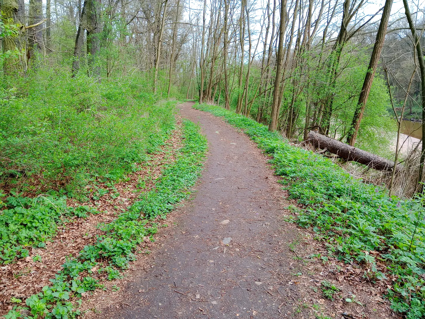 Park Pałacowy w Żaganiu