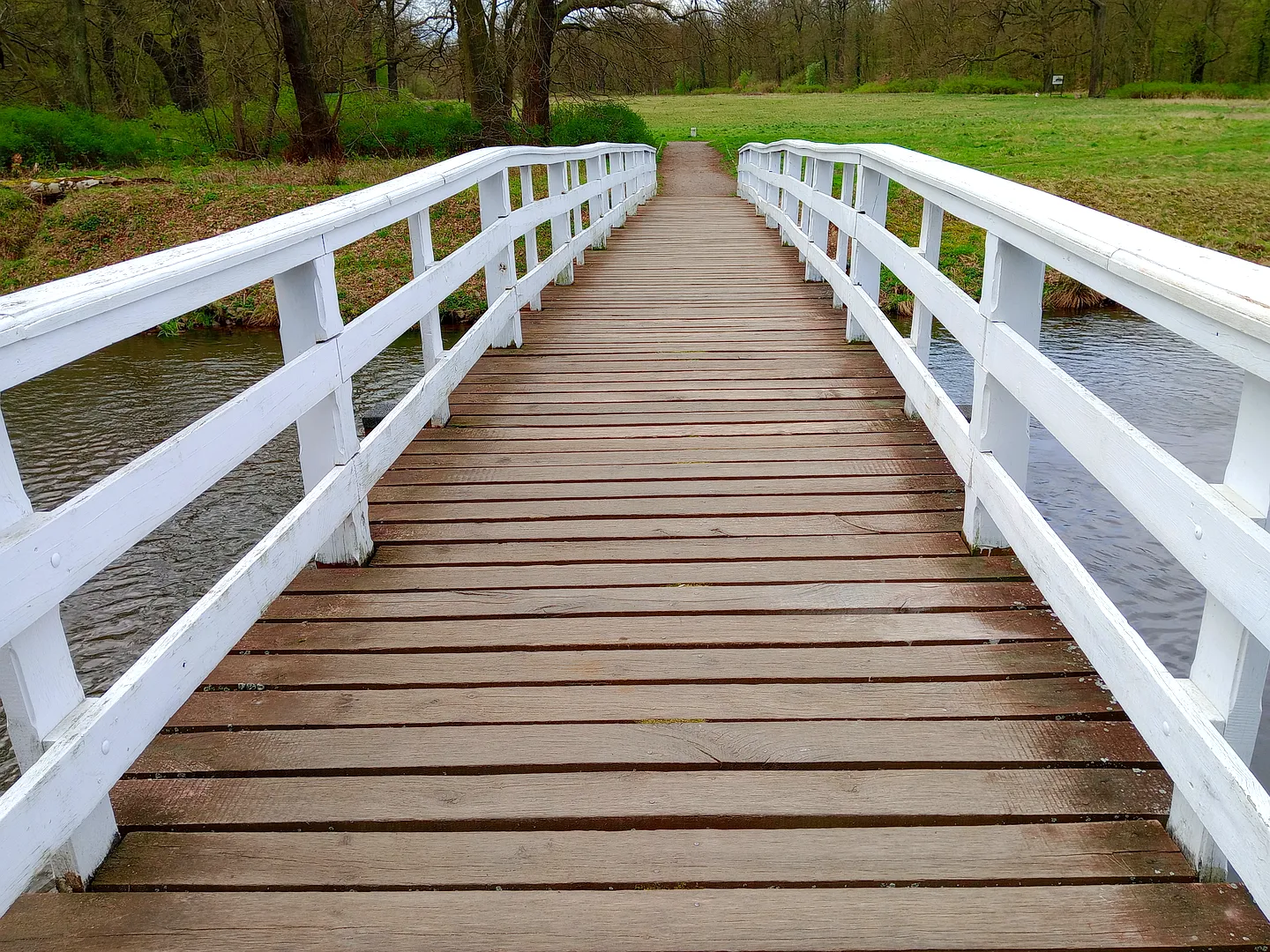 Park Pałacowy w Żaganiu